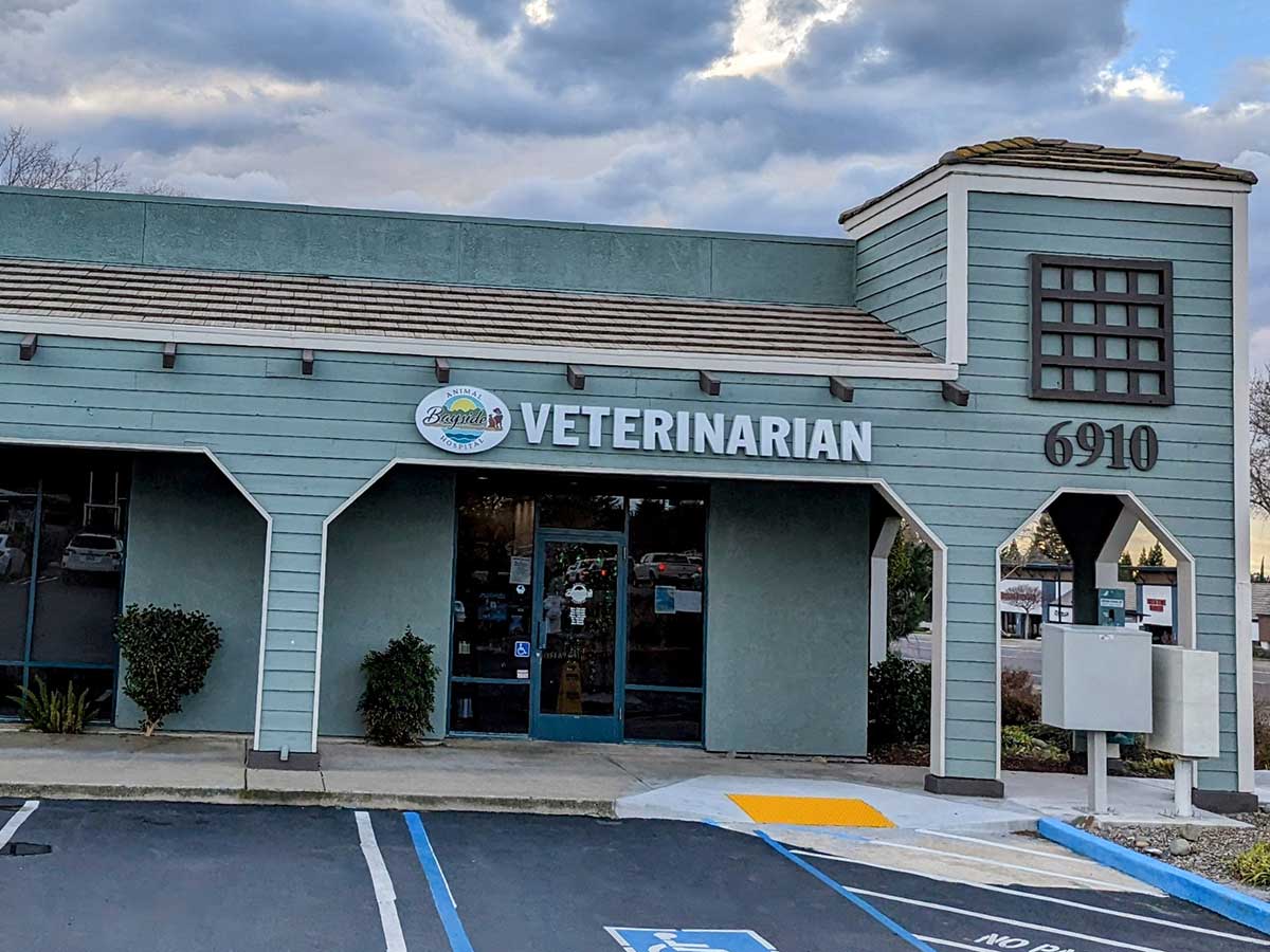 Bayside Animal Hospital