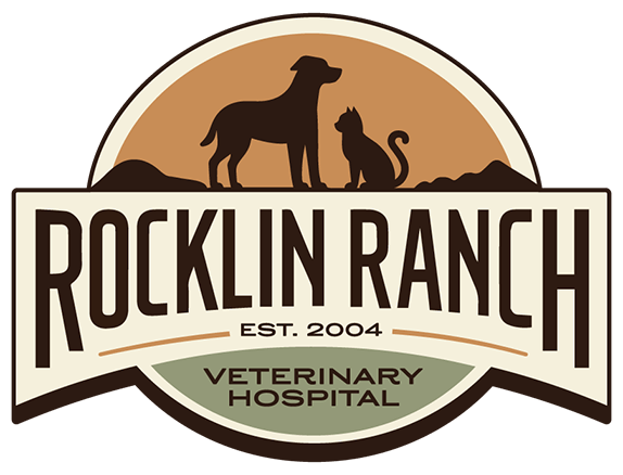 Practices | Rocklin Park Veterinary Hospital, Inc.